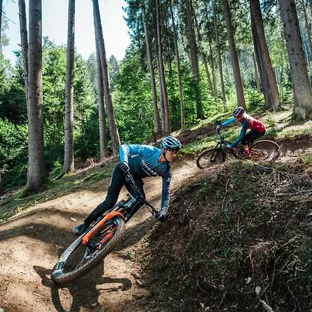 Feriennest Ossiachersee 公寓