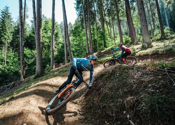 Feriennest Ossiachersee דירה